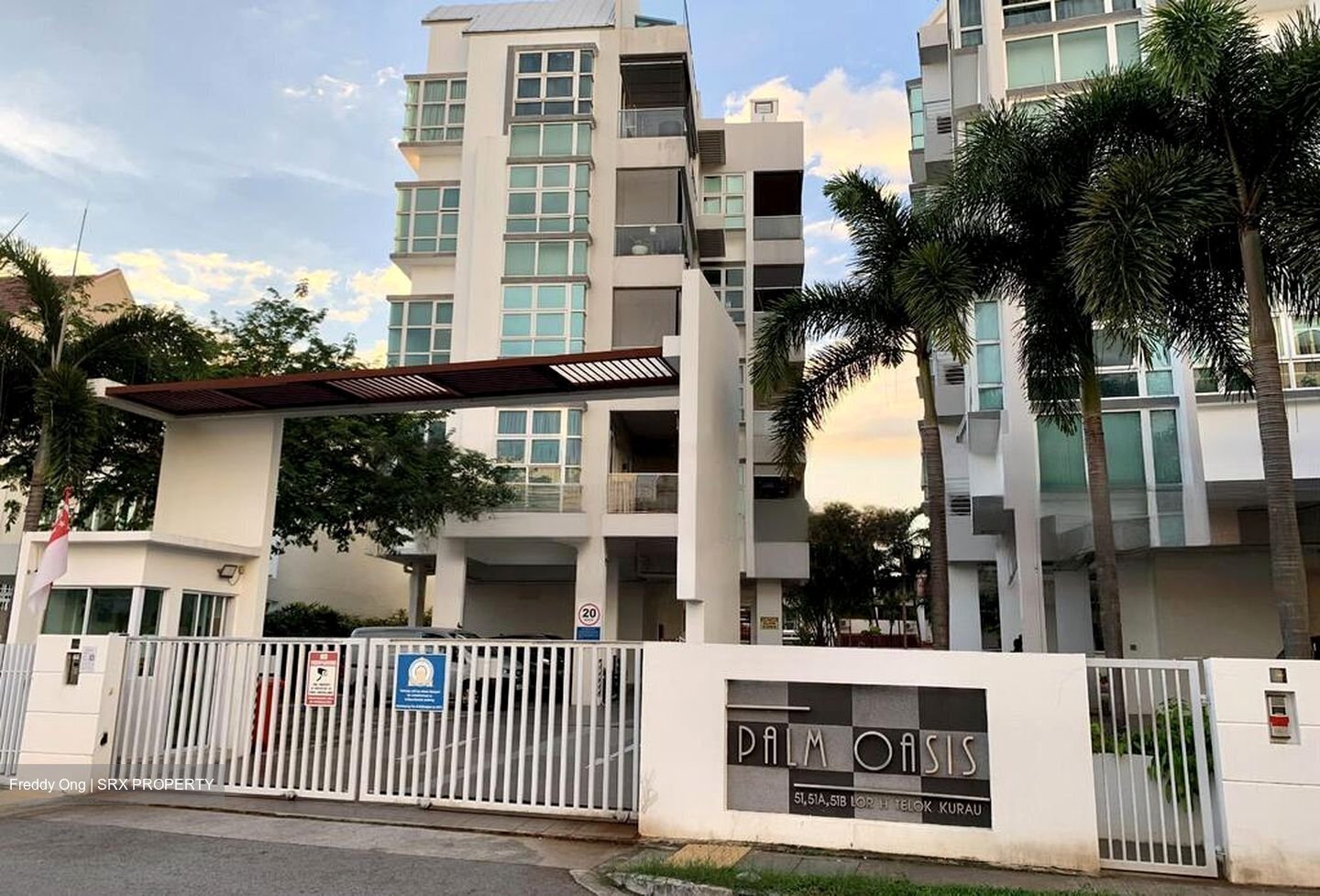 Palm Oasis (D15), Apartment #518508261